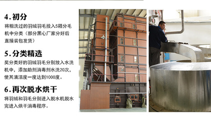 【羽絨羽毛水洗白鴨毛片 枕頭床墊填充原材料 2~4cm鴨毛片工廠批發】價格,廠家,圖片,羽毛、羽絨,安徽方翔羽絨制品-